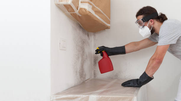 Professional Mold Remediation technician working in Lexington, MI